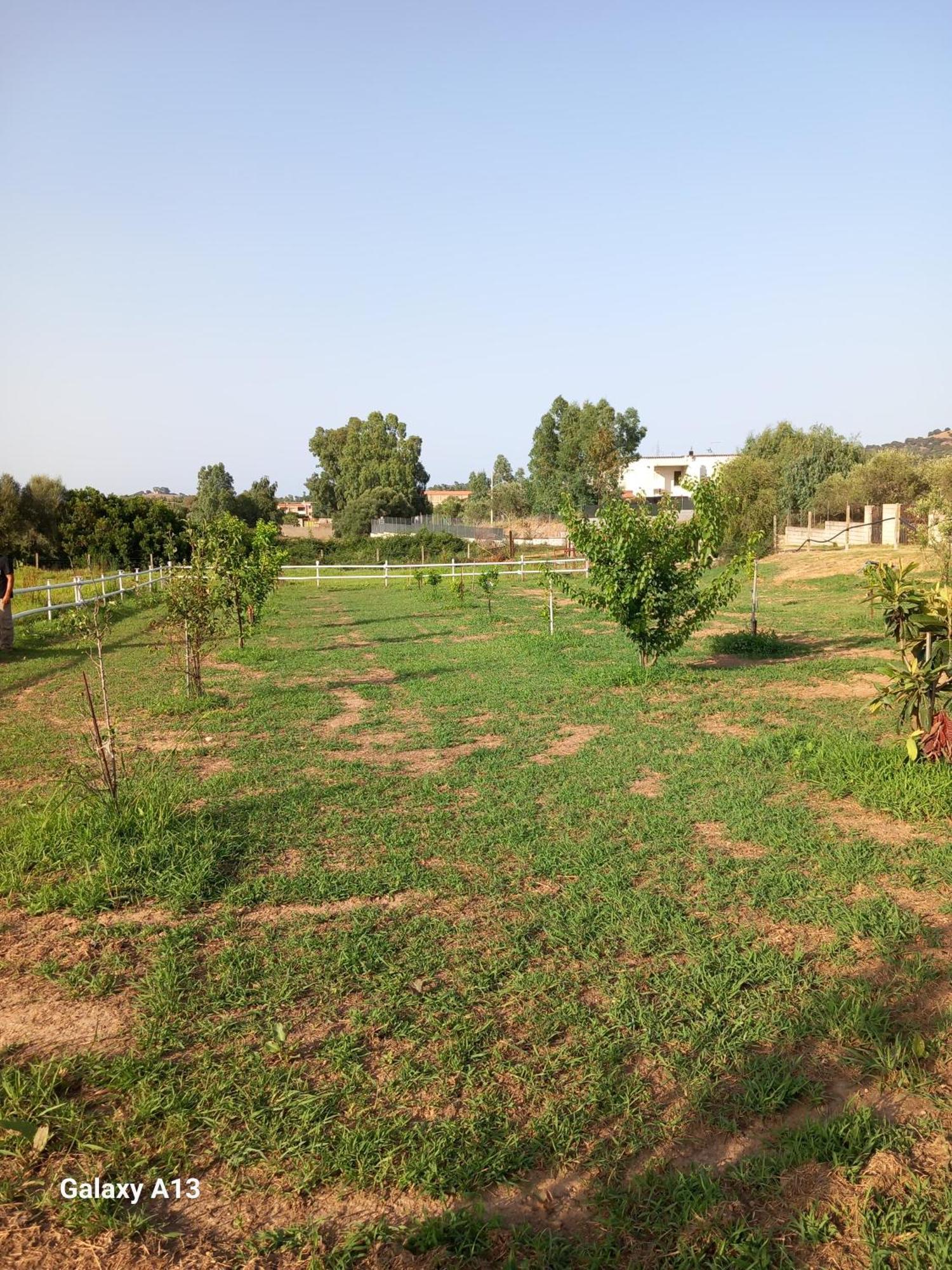 Casa Con Bella Vista Daire Siniscola Dış mekan fotoğraf